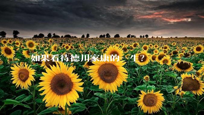 如果看待德川家康的一生？