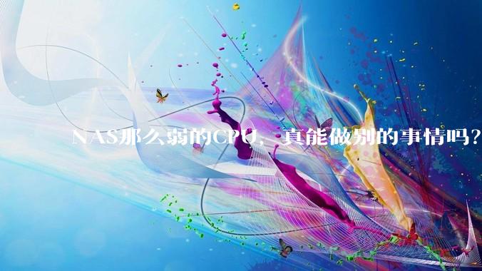 NAS那么弱的CPU，真能做别的事情吗？