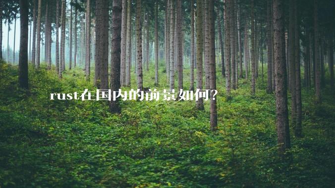 rust在国内的前景如何？