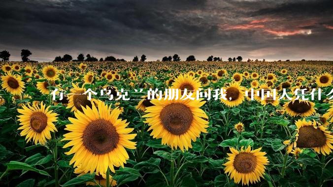 有一个乌克兰的朋友问我，中国人凭什么能享受和平，我该怎么说？