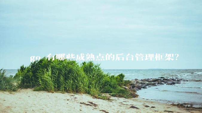 go 有哪些成熟点的后台管理框架？