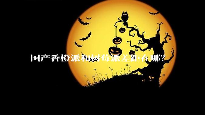 国产香橙派和树莓派差距在哪？