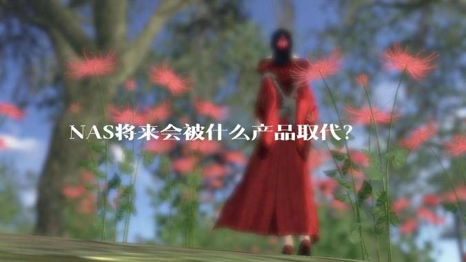 NAS将来会被什么产品取代？